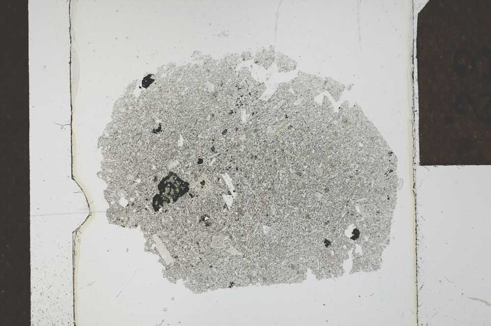 Plane Polarized, S23915