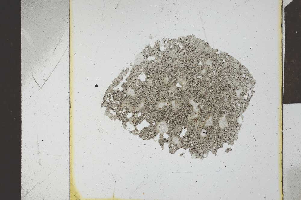 Plane Polarized, S23916