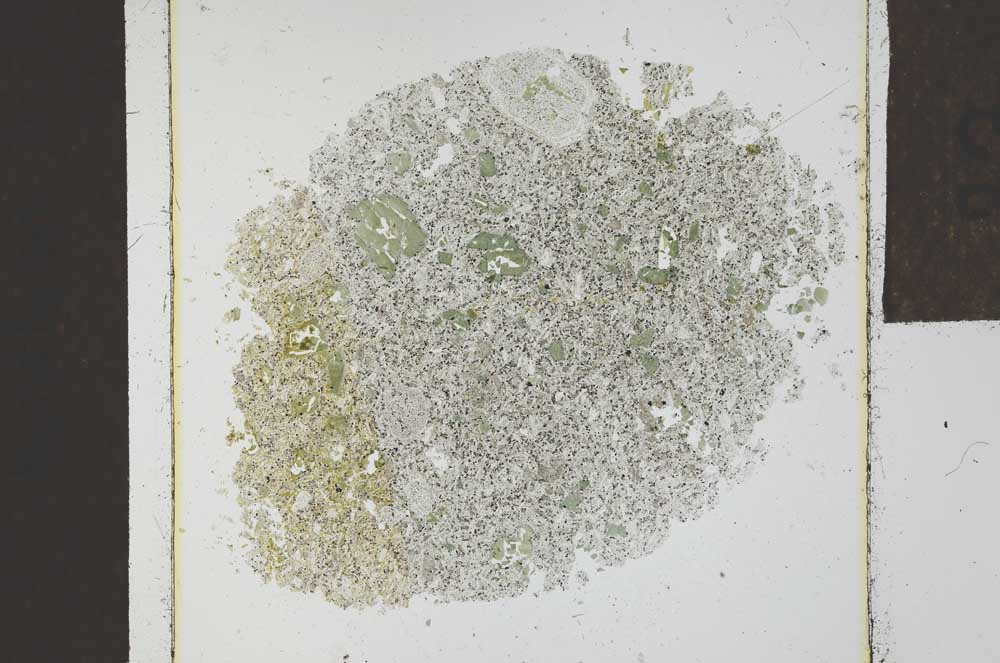 Plane Polarized, S23920