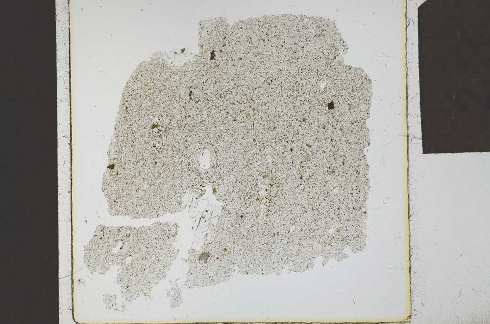 Plane Polarized, S23924