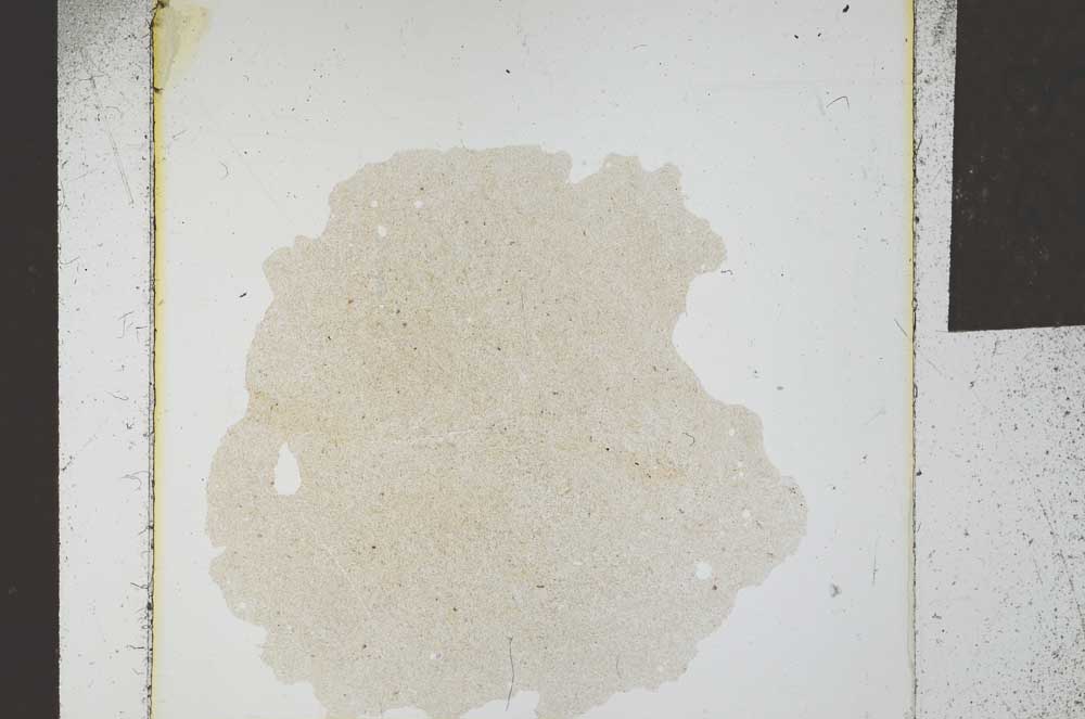 Plane Polarized, S23937