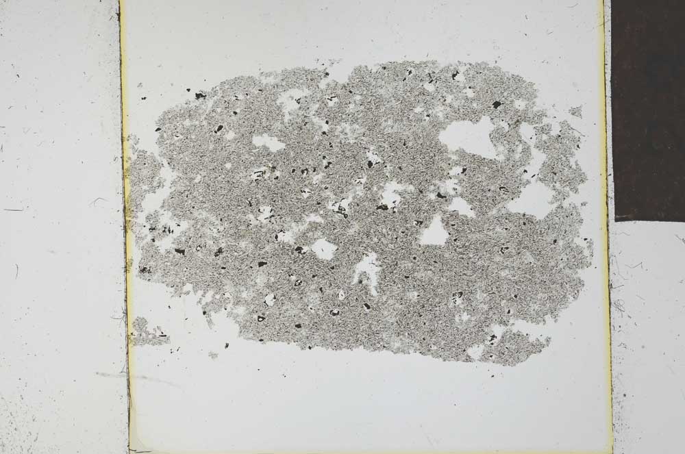 Plane Polarized, S23939