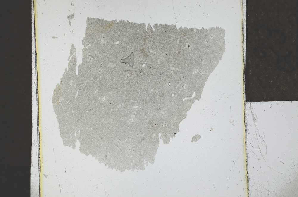 Plane Polarized, S23941