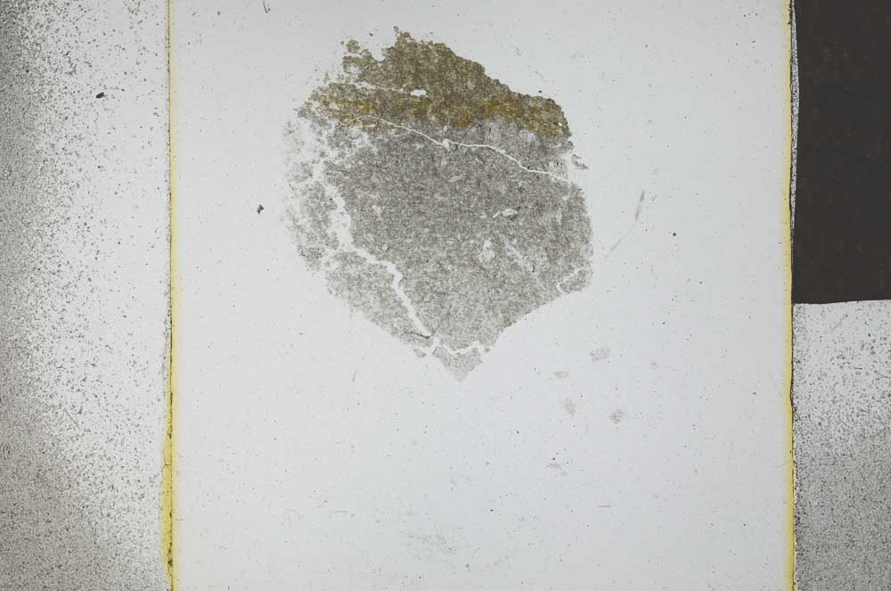 Plane Polarized, S23941/A