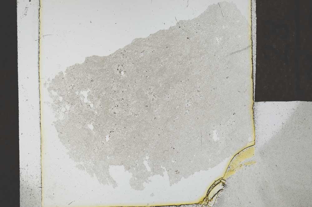 Plane Polarized, S23942