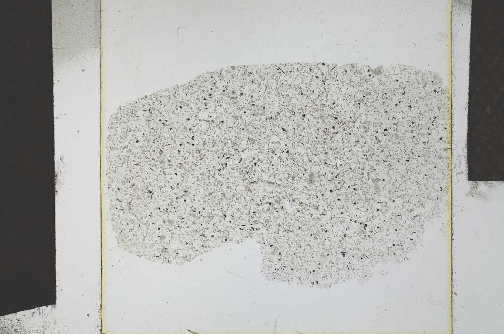 Plane Polarized, S23943