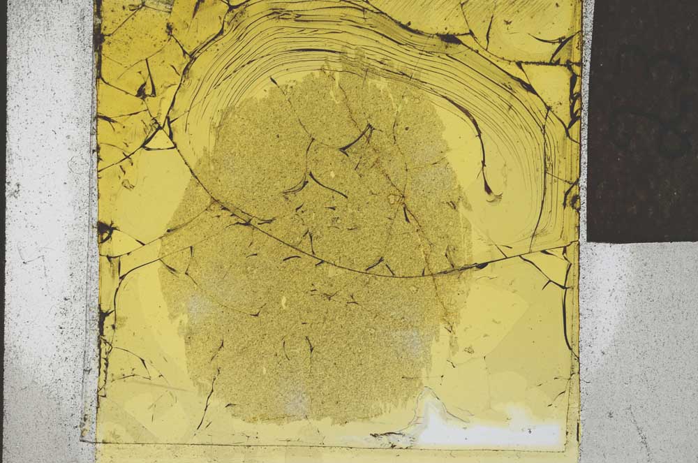 Plane Polarized, S23947