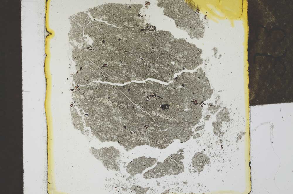 Plane Polarized, S23951