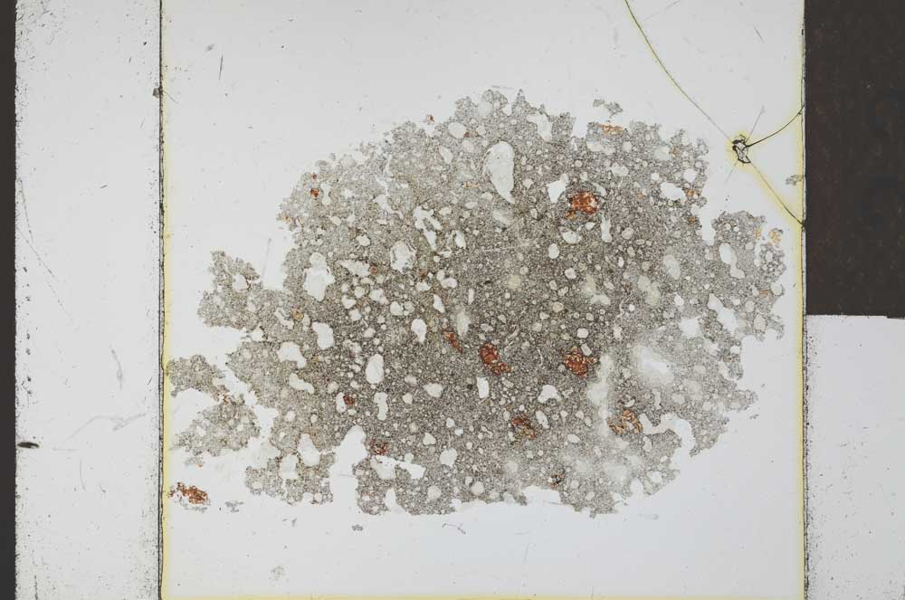 Plane Polarized, S23952