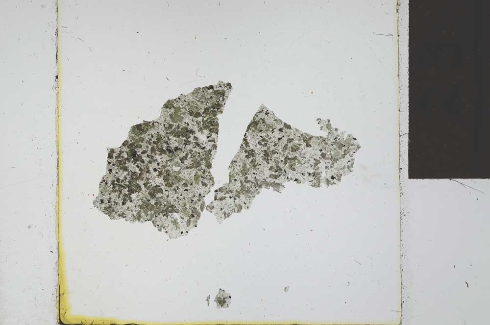 Plane Polarized, S23954