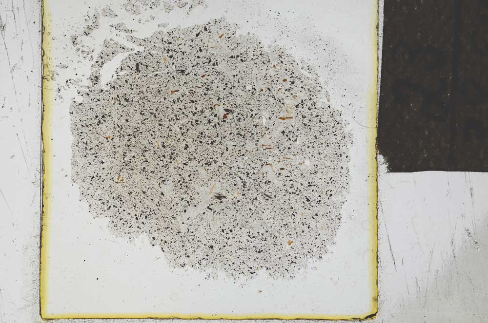 Plane Polarized, S23957