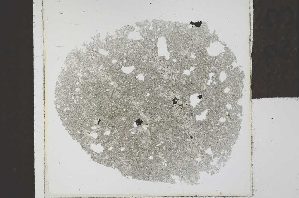 Plane Polarized, S23958