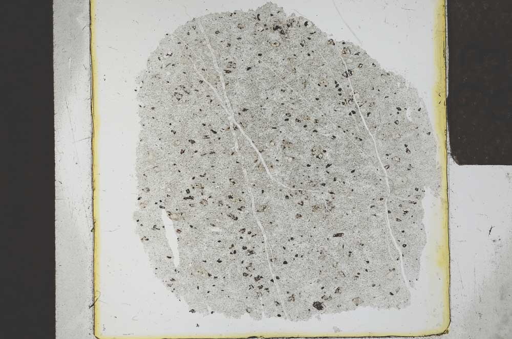 Plane Polarized, S23960
