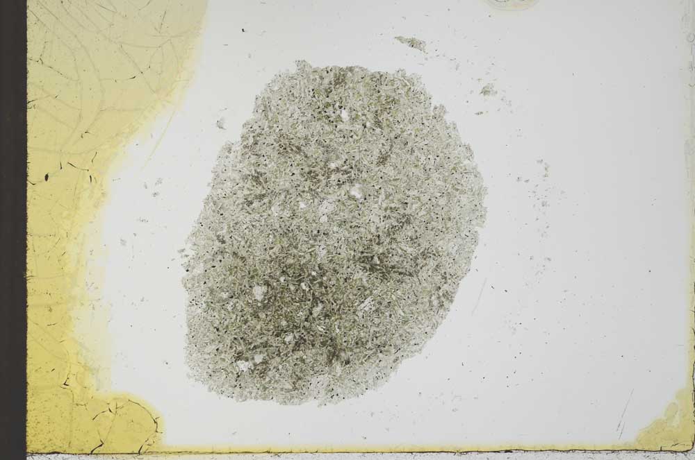 Plane Polarized, S23964