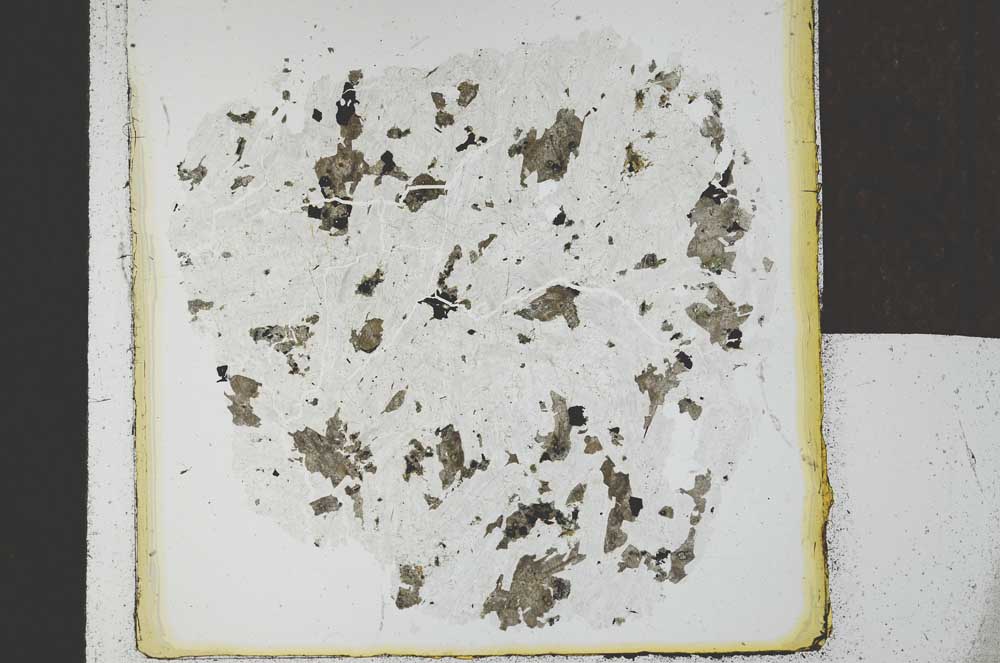 Plane Polarized, S23988