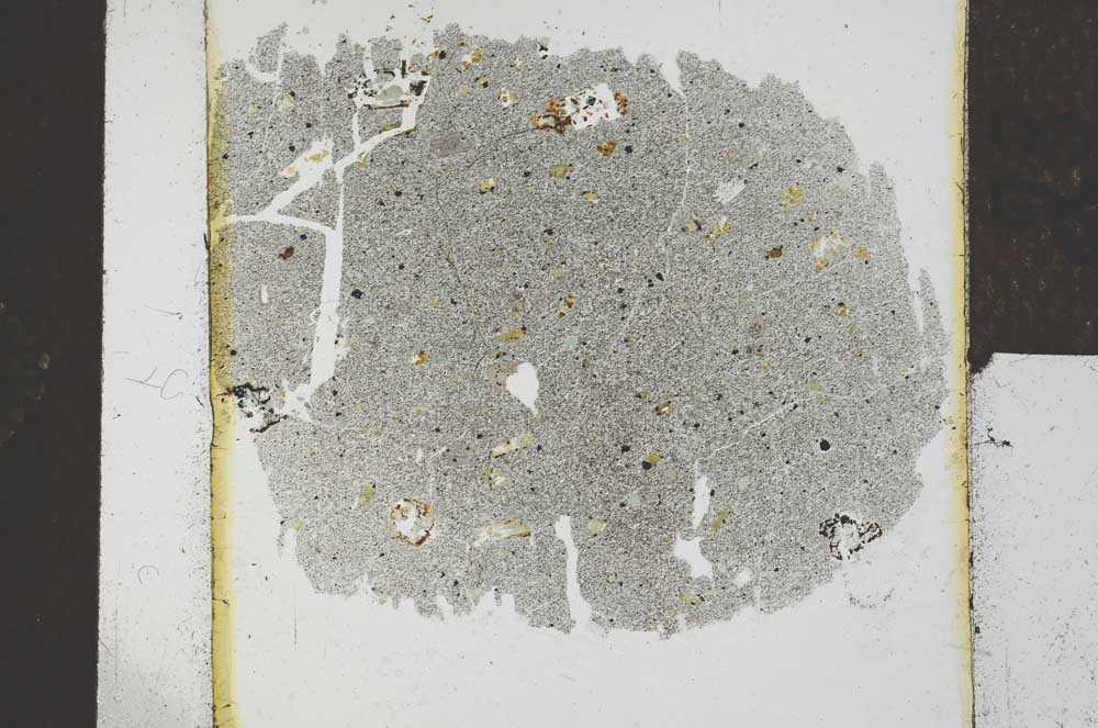 Plane Polarized, S23994