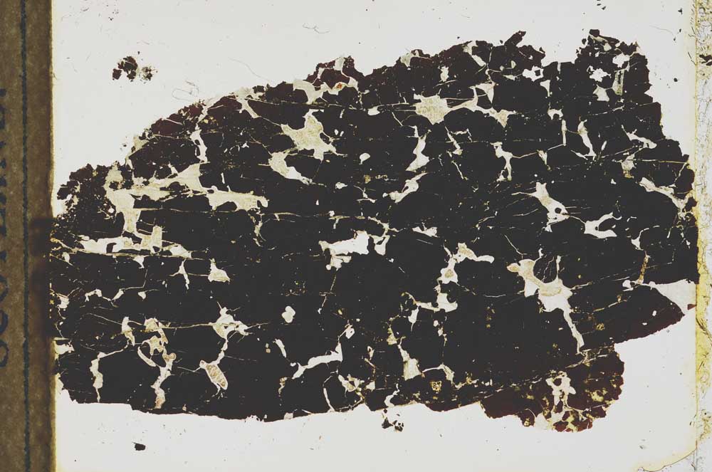 Plane Polarized, S24012