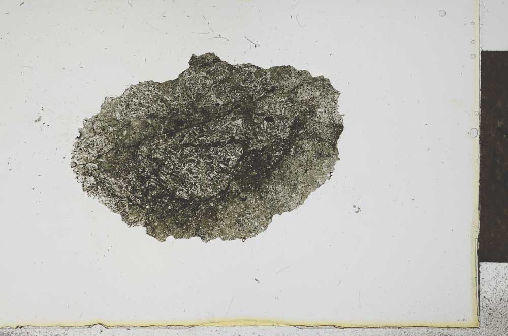 Plane Polarized, S24014