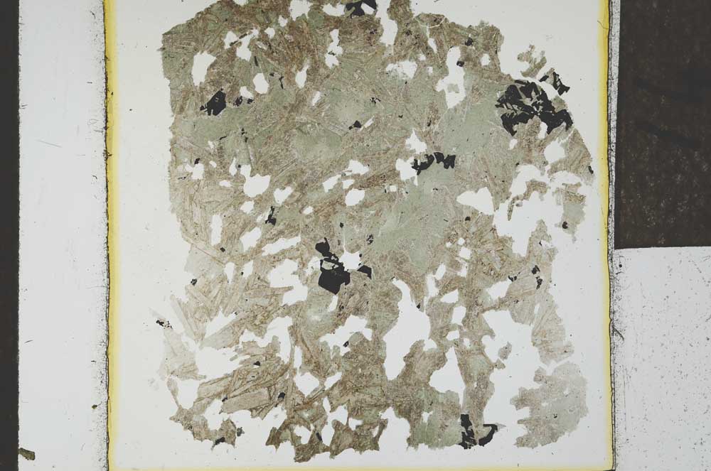 Plane Polarized, S24023