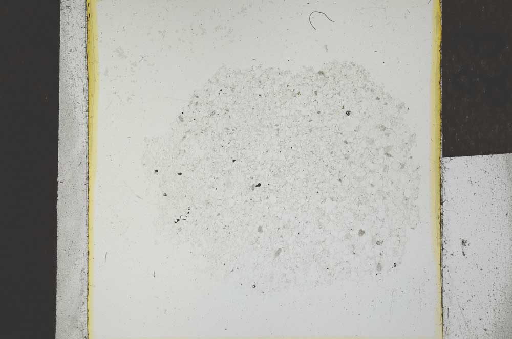 Plane Polarized, S24058