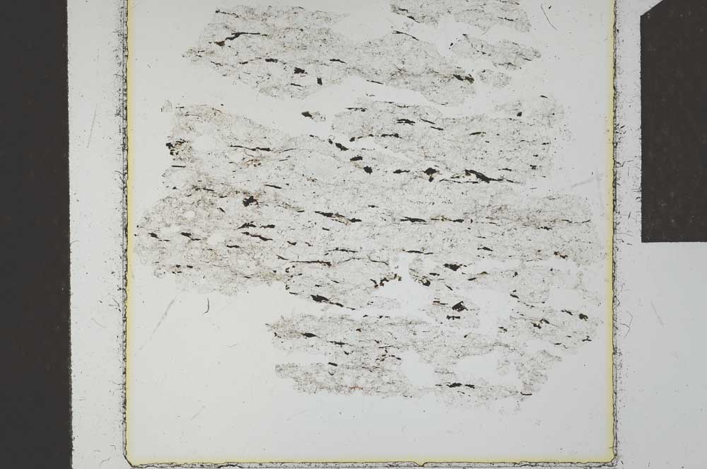 Plane Polarized, S24059
