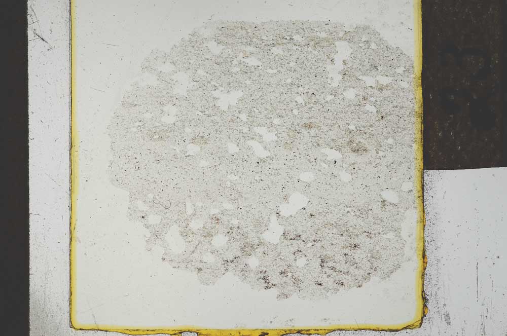 Plane Polarized, S24061