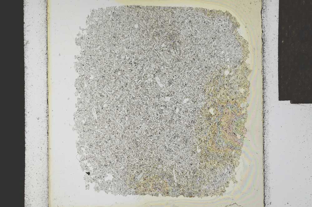 Plane Polarized, S24104