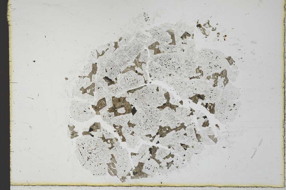 Plane Polarized, S24170