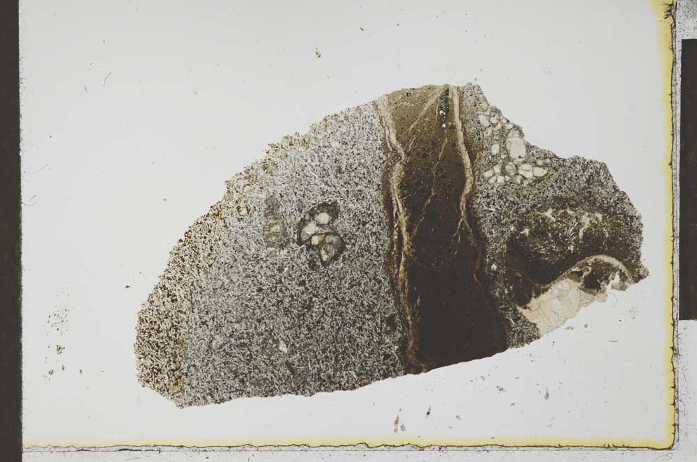 Plane Polarized, S24192