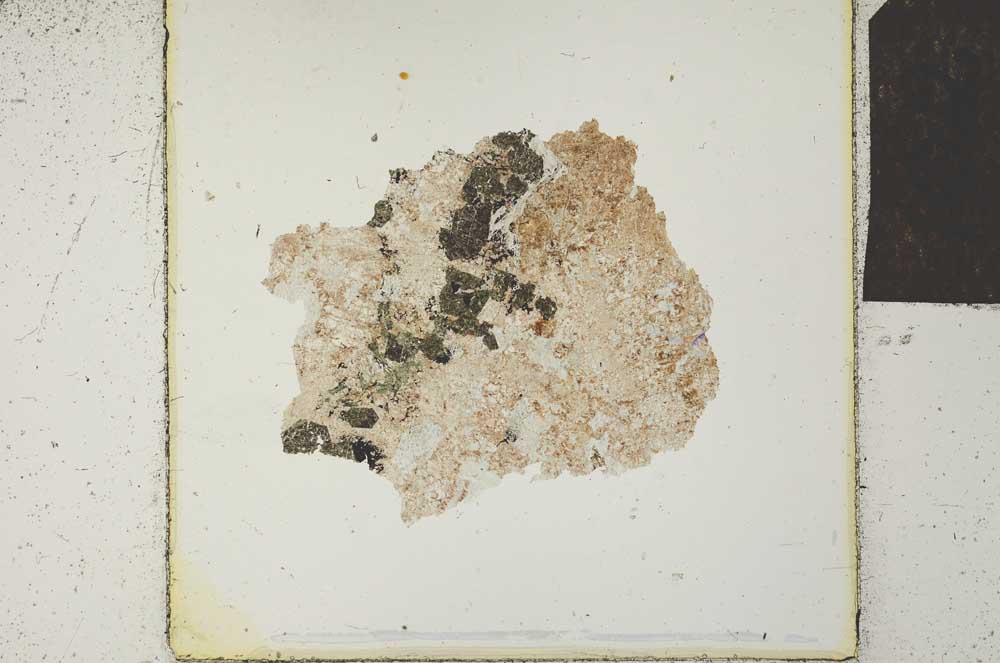 Plane Polarized, S24241