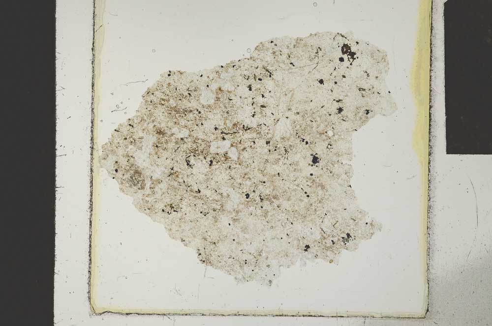 Plane Polarized, S24245