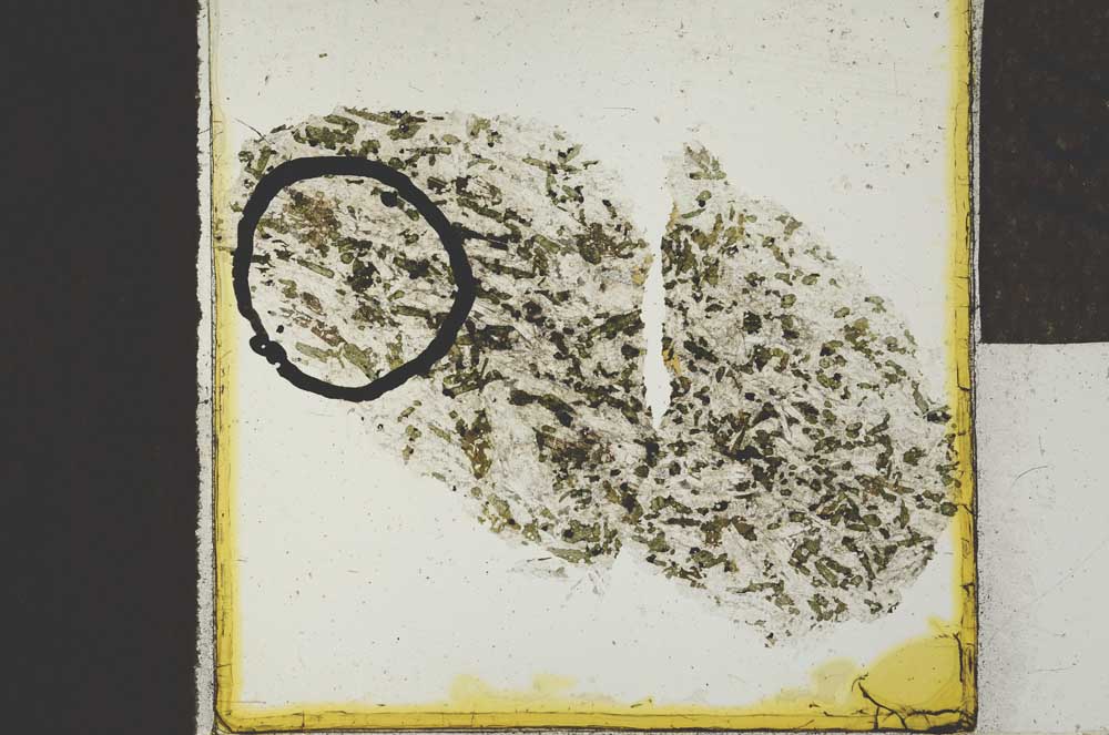 Plane Polarized, S24246