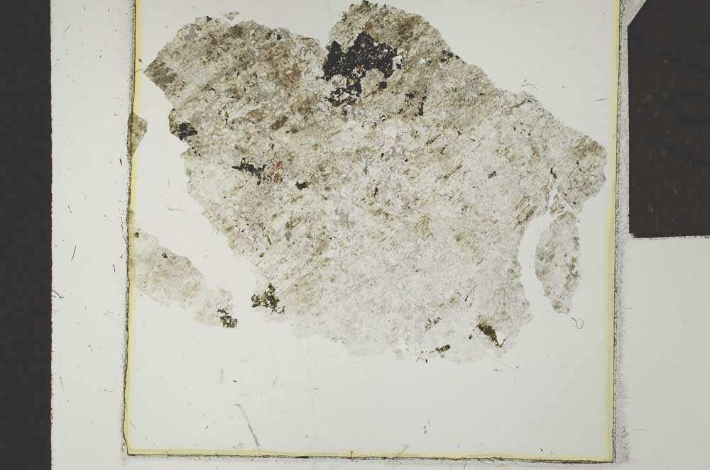 Plane Polarized, S24249