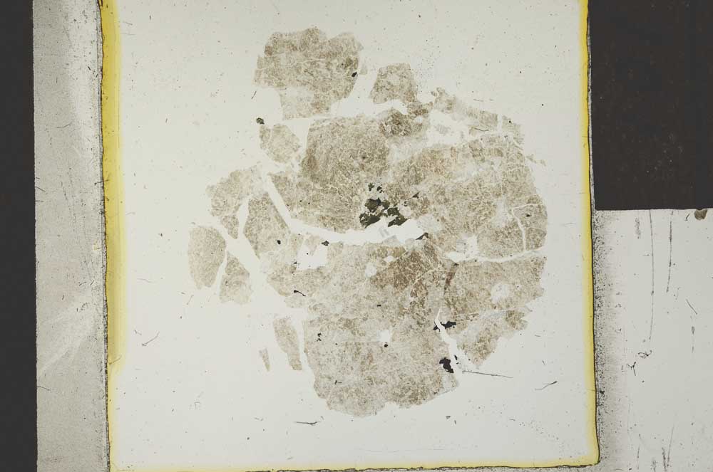 Plane Polarized, S24252