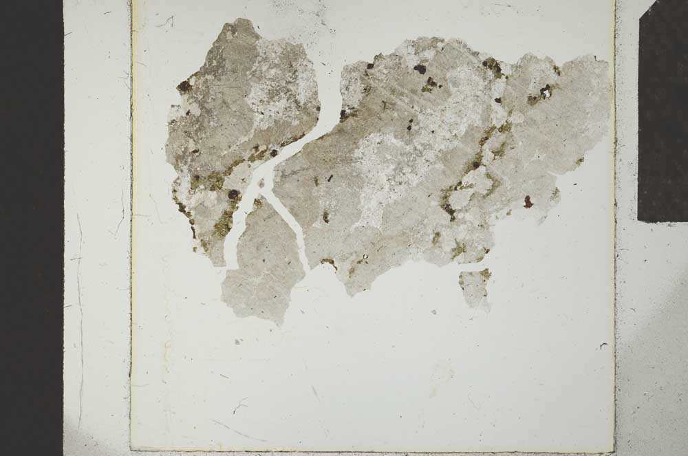 Plane Polarized, S24253
