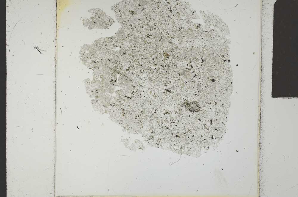 Plane Polarized, S24265