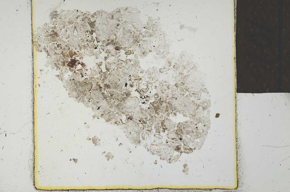Plane Polarized, S24267