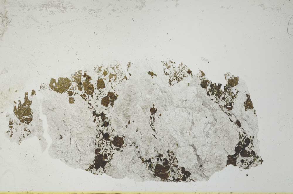 Plane Polarized, S24270