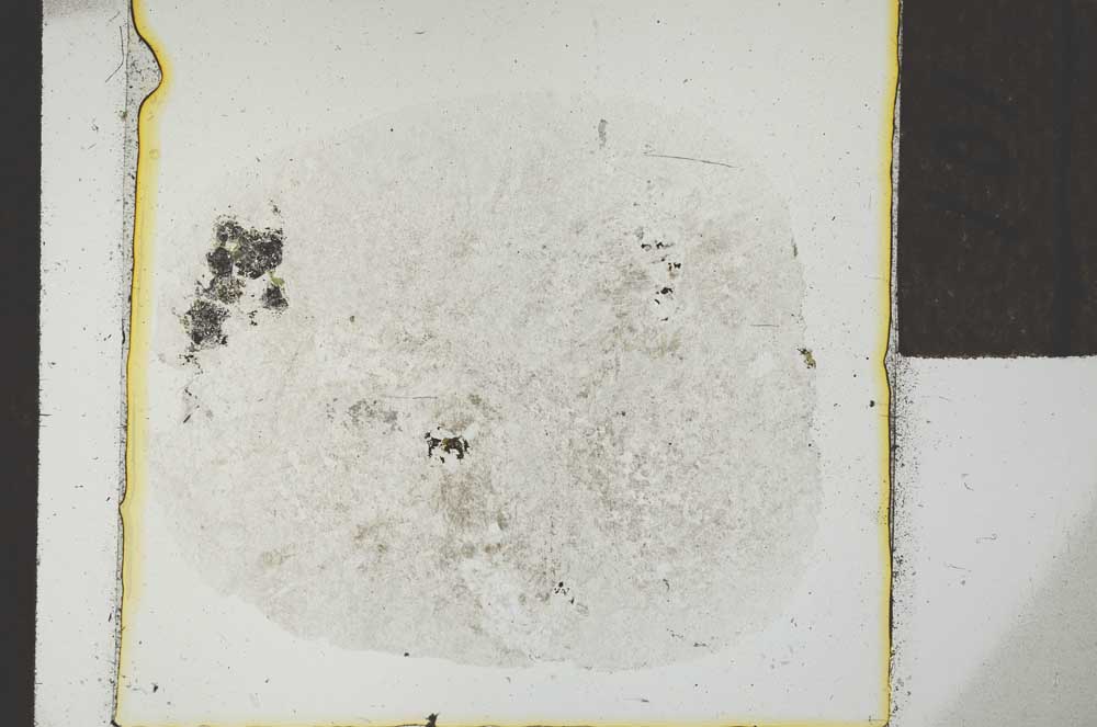 Plane Polarized, S24272