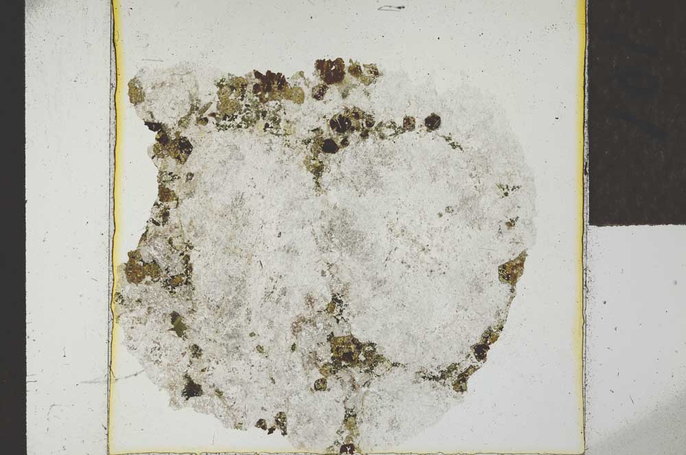 Plane Polarized, S24273