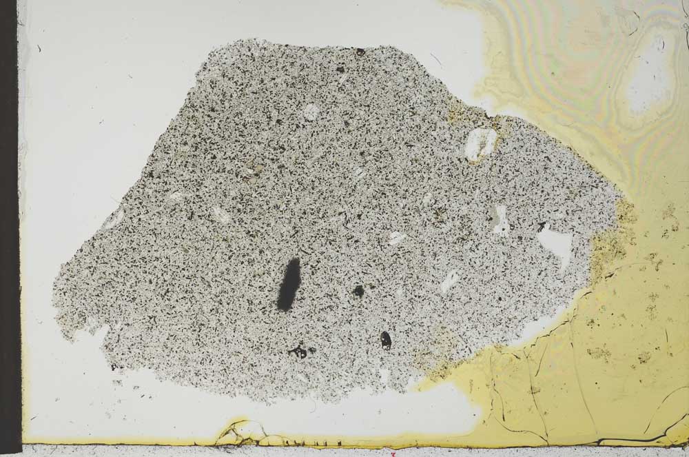 Plane Polarized, S24332