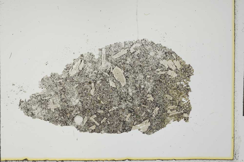 Plane Polarized, S24335