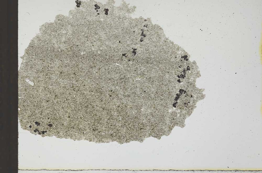 Plane Polarized, S24338