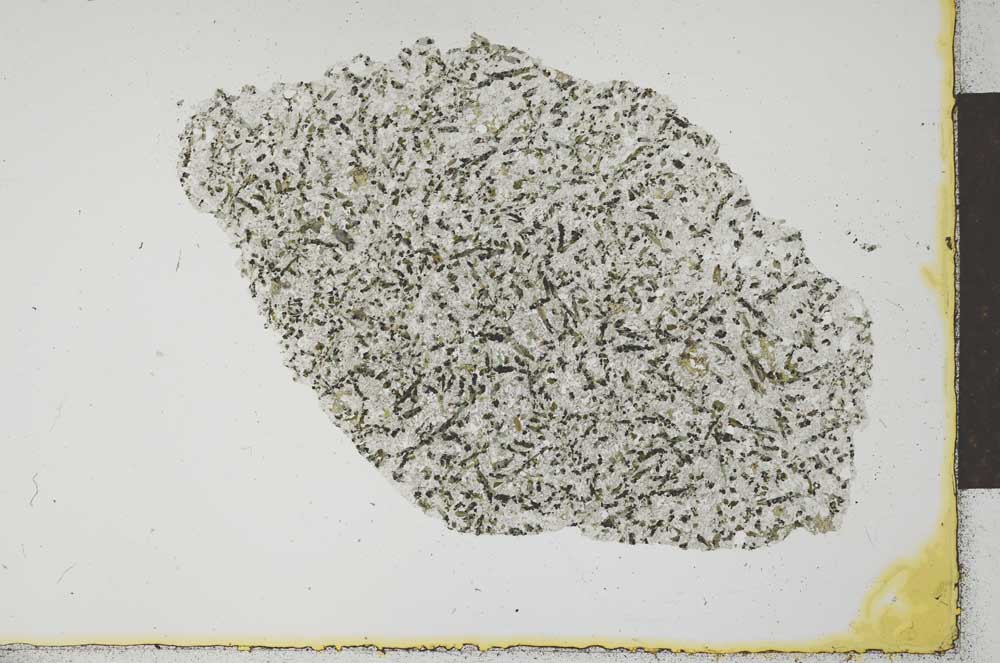 Plane Polarized, S24351