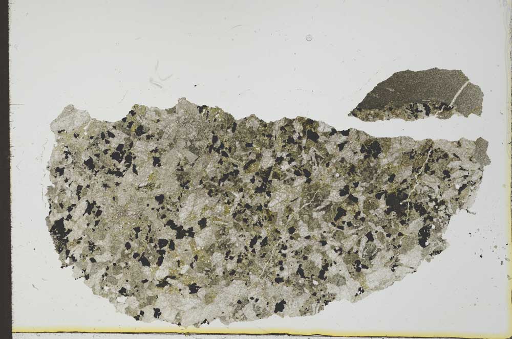 Plane Polarized, S24404