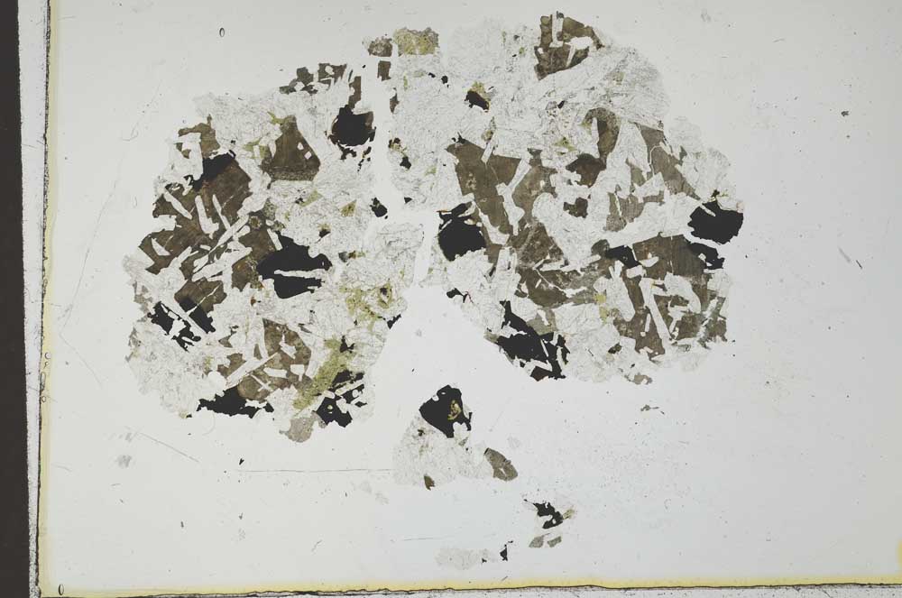 Plane Polarized, S24409