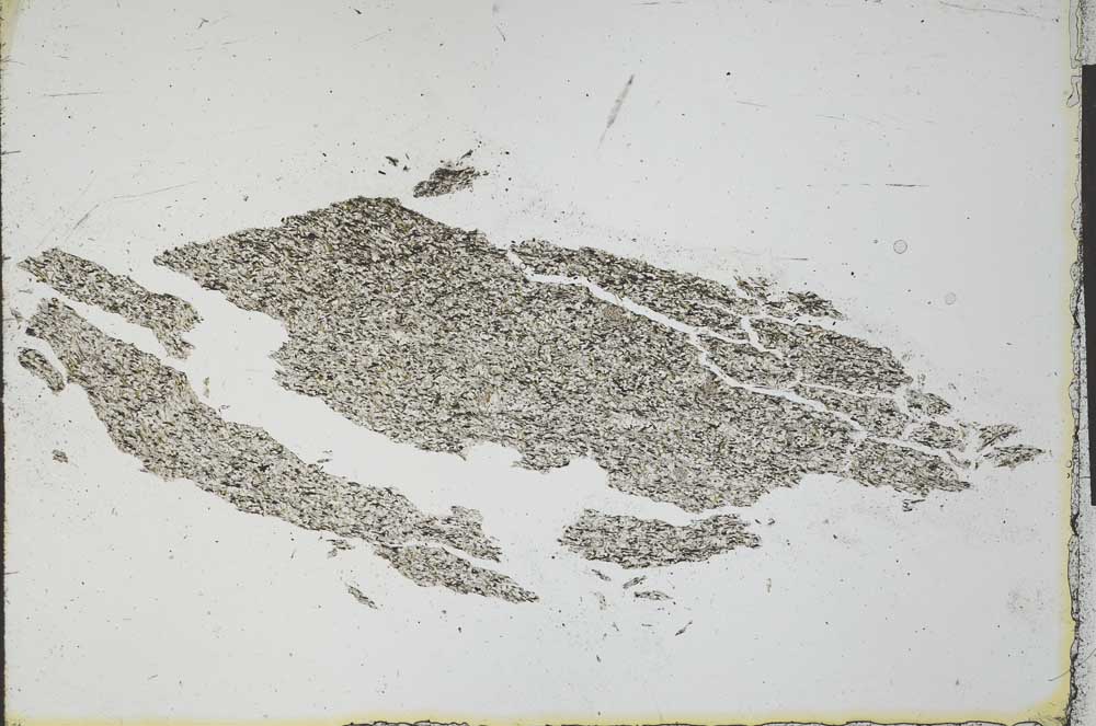 Plane Polarized, S24486