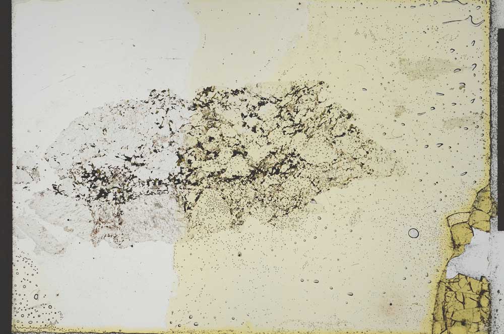 Plane Polarized, S24488