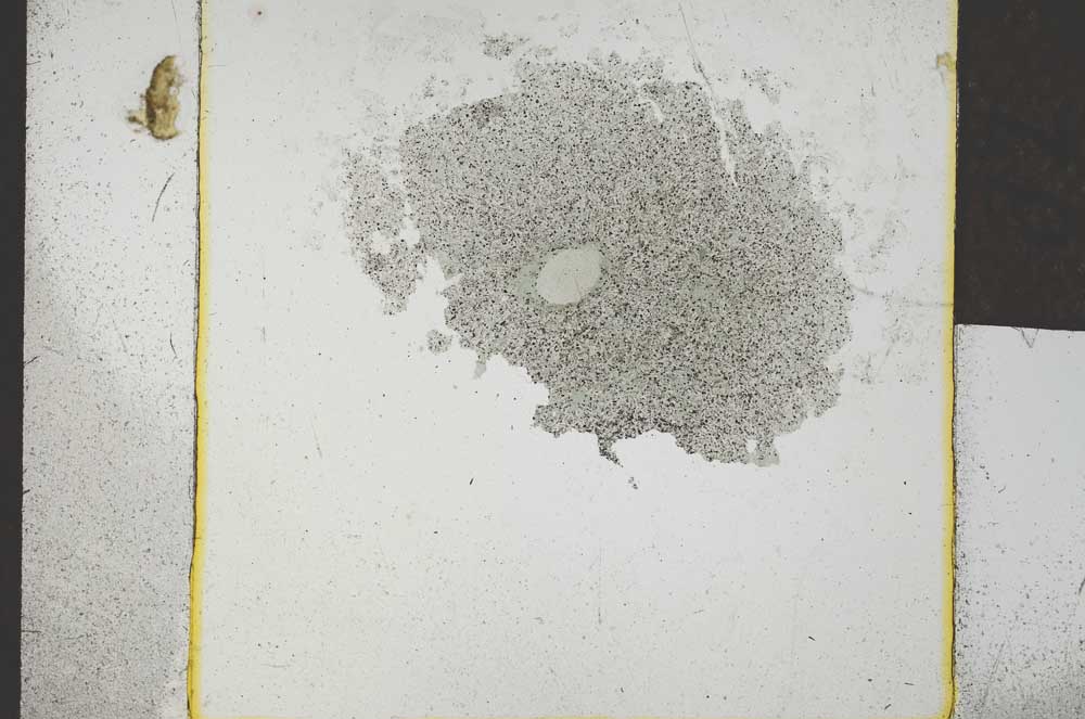 Plane Polarized, S24495