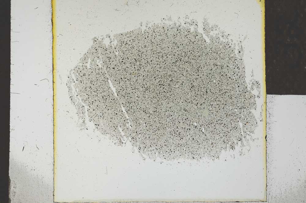 Plane Polarized, S24496